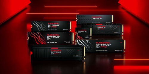 閃迪發(fā)布游戲級(jí)SSD新品牌Optimus 專為玩家打造的高性能存儲(chǔ)解決方案